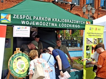 Jarmark Wojewódzki w Manufakturze w Łodzi, 